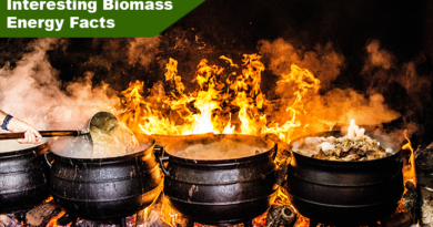 Biomass Energy Facts