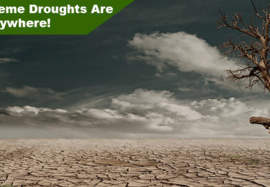 Extreme Droughts